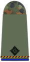 215-Leutnant-dR.png