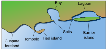 Barrier island