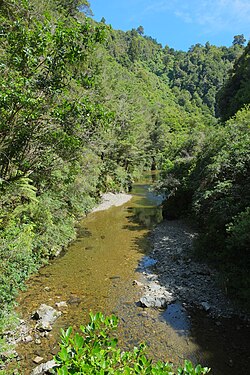 Image of a river flowing through a valley with thick bush on both sides