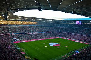 Allianz Arena vor der Umgestaltung (2017)