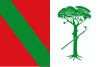 Bandeira de Valdemeca