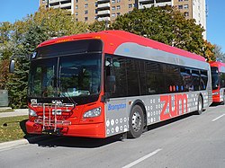 Brampton Zum 1074b.JPG