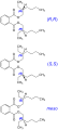 Vorschaubild der Version vom 20:42, 14. Aug. 2012