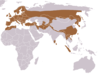 Distribuição