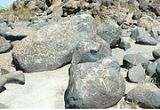 Symbolic and artistic rock etchings produced centuries ago by prehistoric peoples