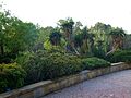 Gold Coast Regional Botanic Gardens (03).jpg