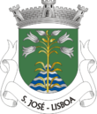 Vlag van São José