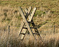 Ladder stile in Snowdonia