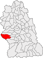 Location in Hunedoara County