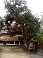 10:22, 10 ജൂലൈ 2012-ലെ പതിപ്പിന്റെ ലഘുചിത്രം