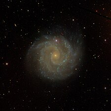 NGC 3184 (Sc)