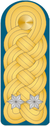 OF-7 Divizijski djeneral 1918-1945.PNG