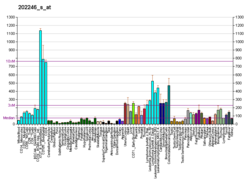 PBB GE CDK4 202246 s at fs.png