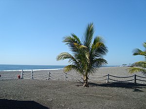 Beach at Petacalco, in the municipality of La Unión de Isidoro Montes de Oca