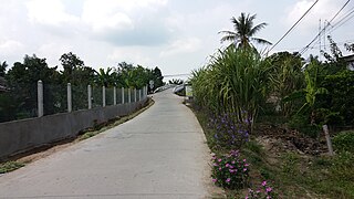 Một cây cầu qua kênh Ban Dày, xã Phú Cường.