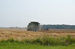 Harvesting wheat outside of McComb