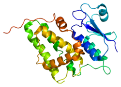 Протеин CLIC4 PDB 2ahe.png