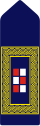 Ravnatelj policije.svg