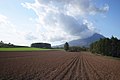 2016年11月14日 (月) 18:52時点における版のサムネイル