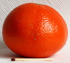 Saft-Clementine, Spanien, Supermarkt1661