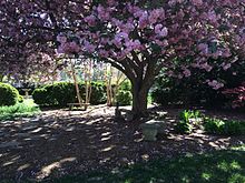 Photo taken near the Fountain of Remembrance - one of St. Mary's College of Maryland's "Seven Wonders". St. Mary's College of Maryland Campus.jpg