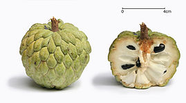 File:Sugar apple with cross section.jpg