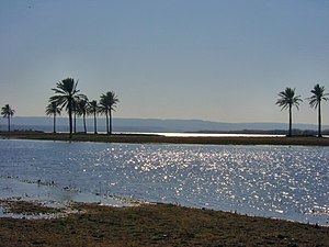 none The Euphrates in Iraq