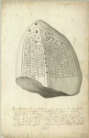 Runestone from Tirsted drawing from 1765
