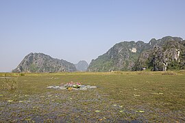 Paysage à Van Long.