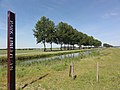 The Linge river at Park Lingezegen, Bemmel