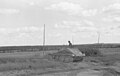 Sur le terrain, Russie, août 1943.