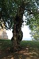 Butte de Thil, Vic-sous-Thil, Côte-d'Or, Bourgogne, France