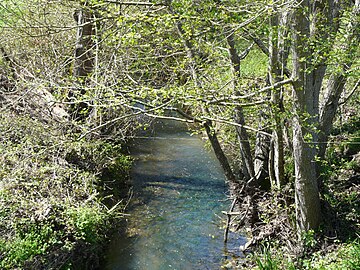 L'Estrop en aval du pont de la RD 11, en limite de Vélines (à gauche) et de Montazeau.