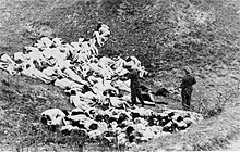 German police shooting women and children from the Mizocz Ghetto, 14 October 1942 German officer executes Jewish women who survived a mass shooting outside the Mizocz ghetto, 14 October 1942.jpg