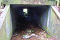 Tunnel unter der Dringenberger Straße. Gebückt kann sogar ein Erwachsener durchgehen. Blick stromabwärts. (26. Juli 2011)