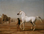 Jacques-Laurent Agasse, The Wellesley Grey Arabian Led through the Desert (l'Arabe gris de Wellesley mené à travers le désert), vers 1810.