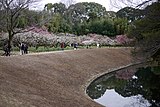 後楽園（岡山県）