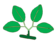 Leaf morphology type bygeminate.png