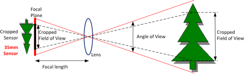 Field-of-view crop is cameras of different sensor size but the same lens focal length