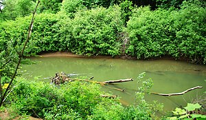 Luckiamute River at Helmick.JPG