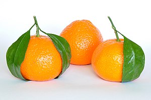 Mandarin Oranges (Citrus Reticulata).jpg