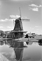Voormalige korenmolen Koveltimp in Ruischerbrug in 1942. Deze molen werd in 1950 gesloopt.