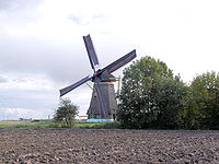 Zuidhollandse Molen (2009)