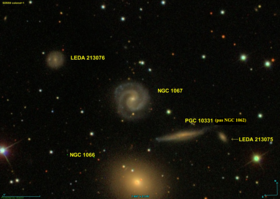 Image illustrative de l’article NGC 1067