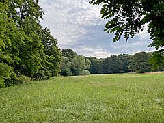 Große Wiese am westl. Zugang zum NSG