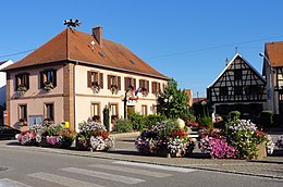 Niederschaeffolsheim – Veduta