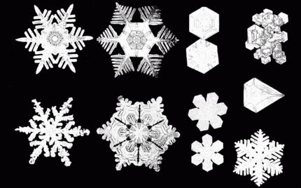 PSM V53 D092 Various snow crystal forms.png