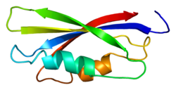 Protein EEF1B2 PDB 1b64.png