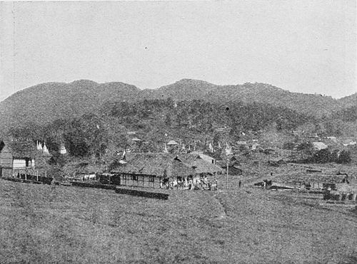 Fig. 10. Kalaw.