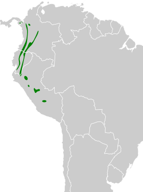 Distribución geográfica del tiranuelo bronceado.